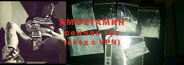 прущие грибы Белокуриха