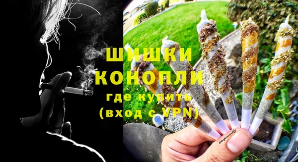прущие грибы Белокуриха