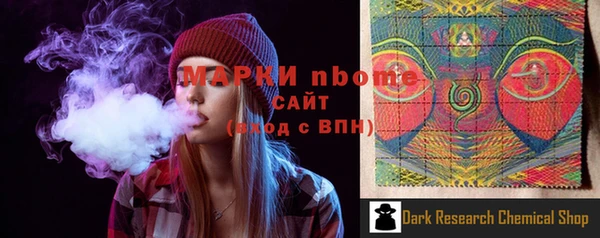 прущие грибы Белокуриха