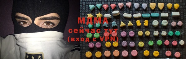 прущие грибы Белокуриха